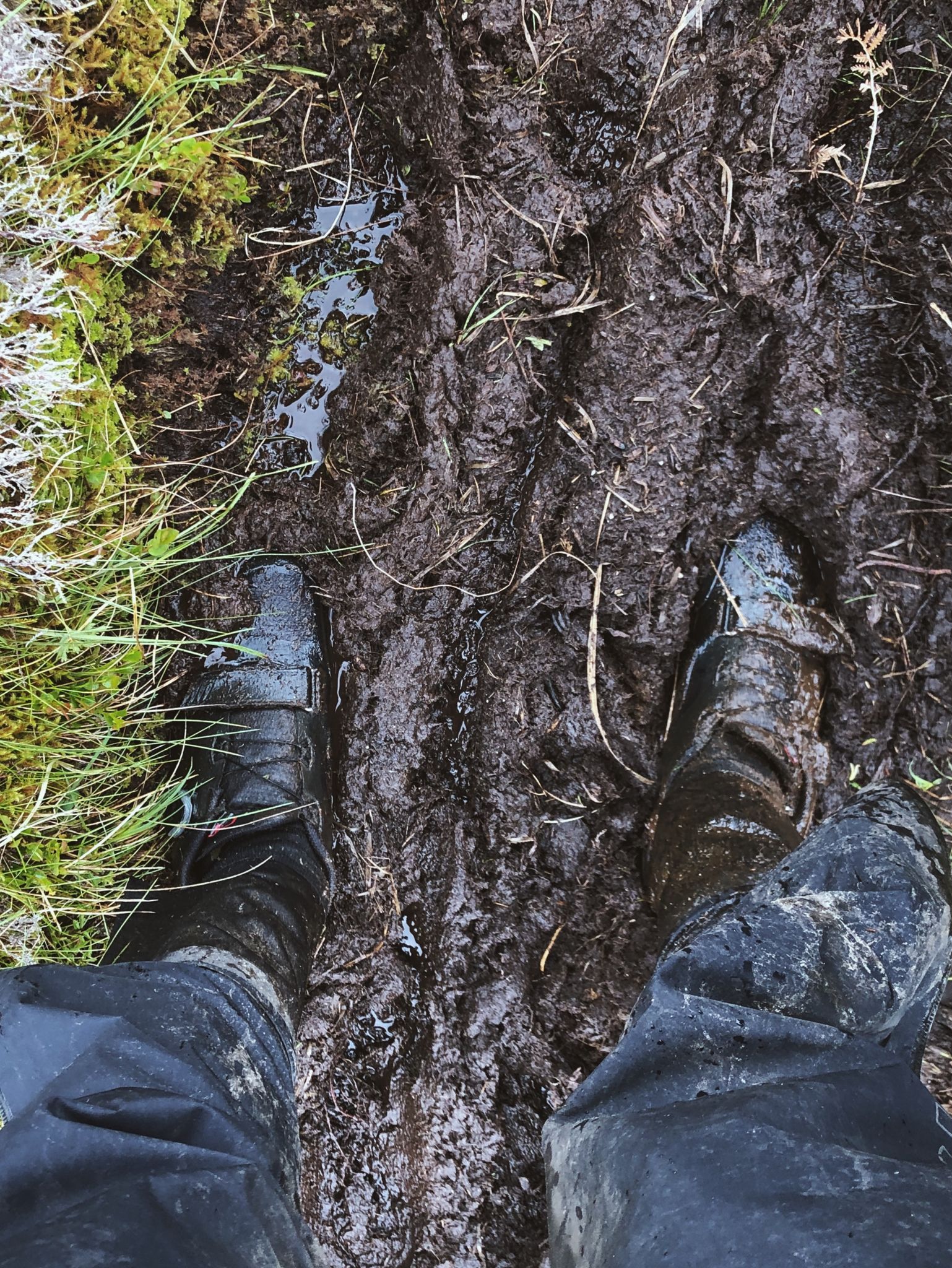 Going the distance: «Körperlich, technisch und mental herausfordernd»  3