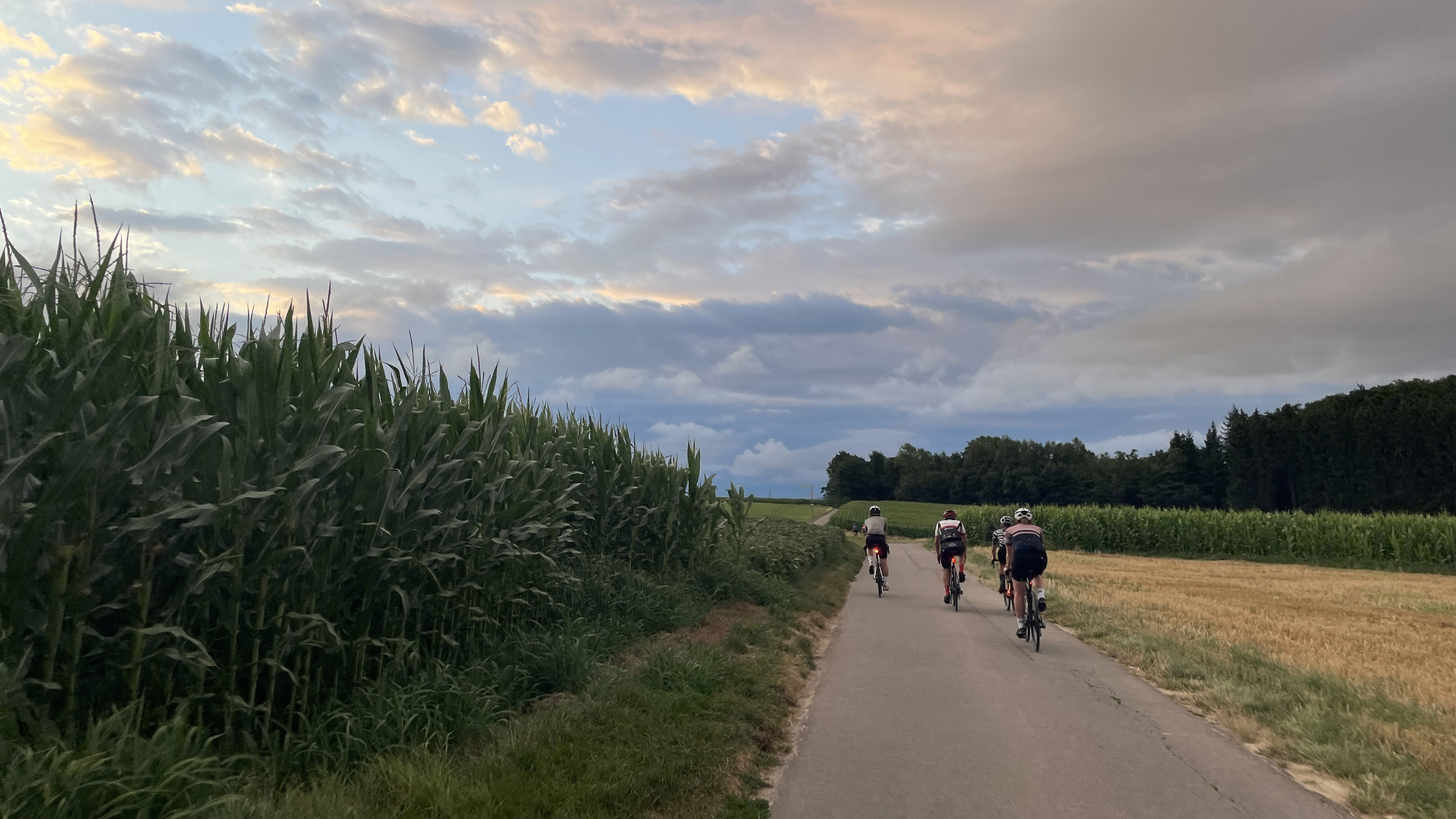 Basel Rides: einmal über den Dinkelberg 4