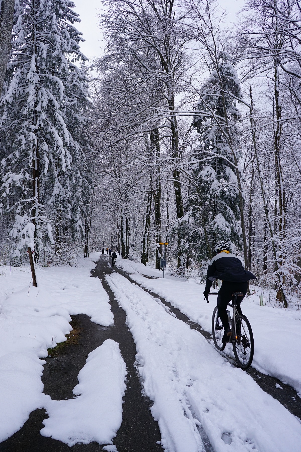 Zwischen Kälte und Leidenschaft: Warum Rennradfahren im Winter? 6