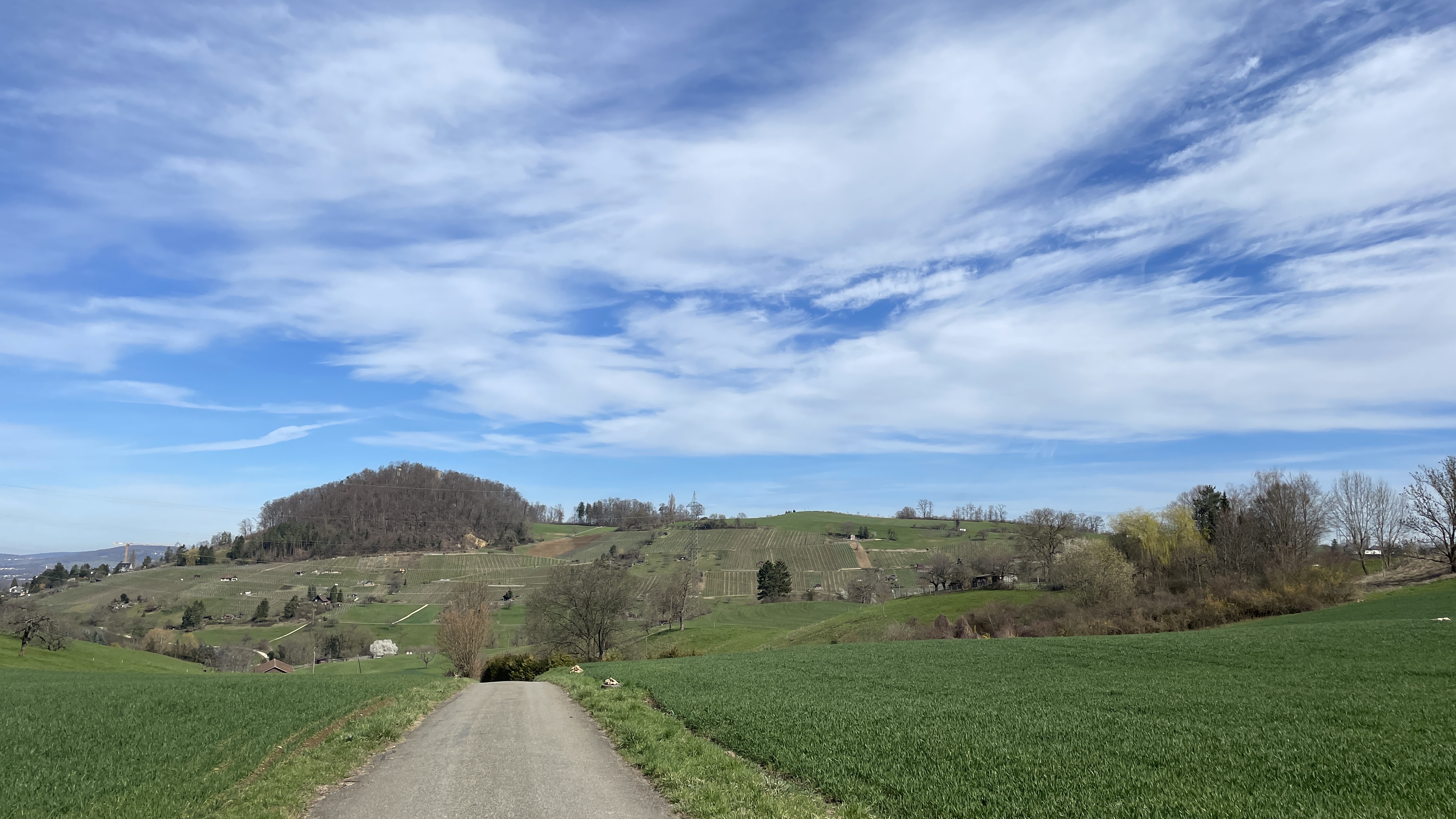 «DE RONDE»: viele Höhenmeter und ein wenig Kopfsteinpflaster 6