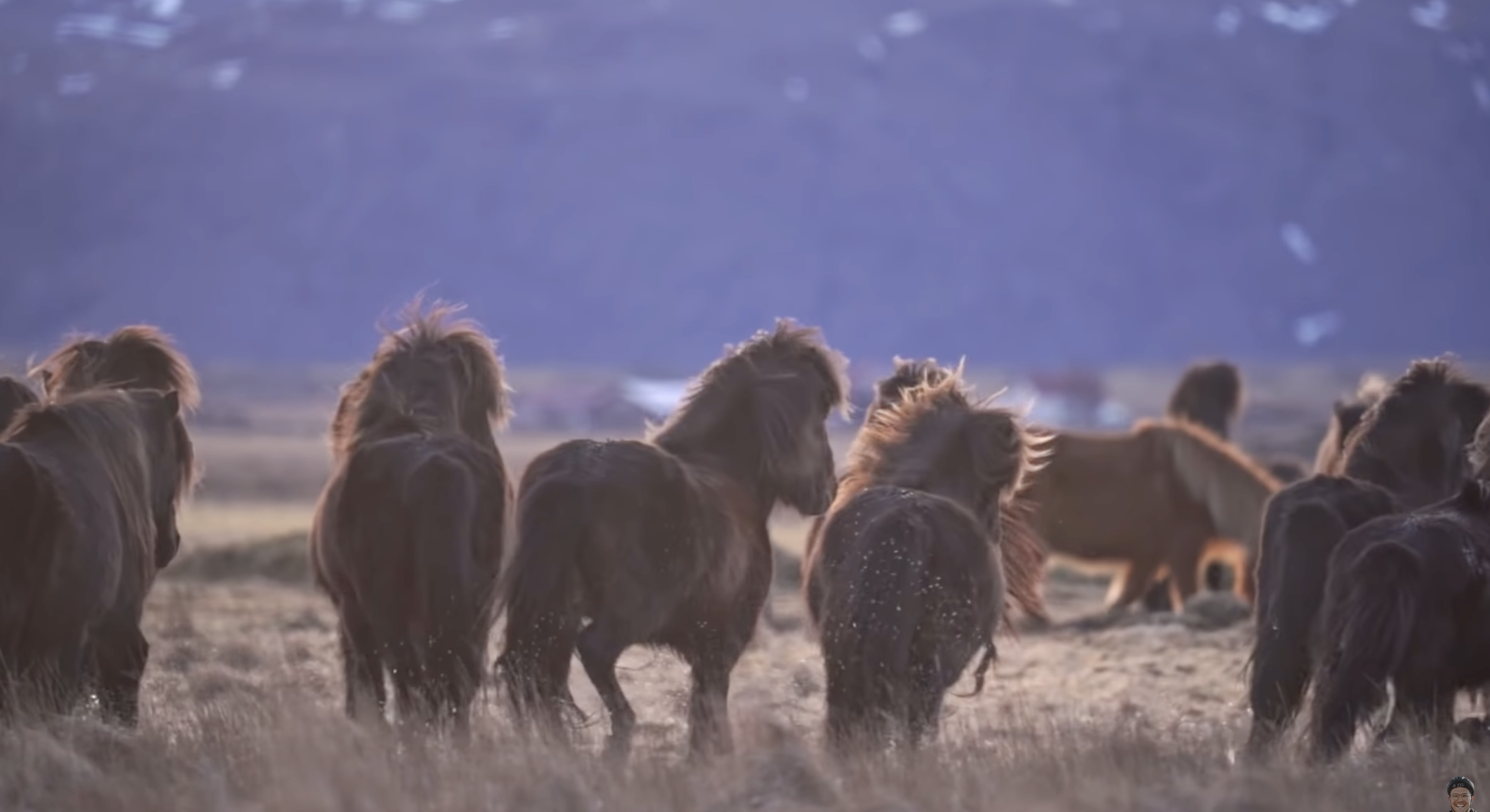 Going the distance: tolle Filme als Inspiration für Deine nächste Reise 14