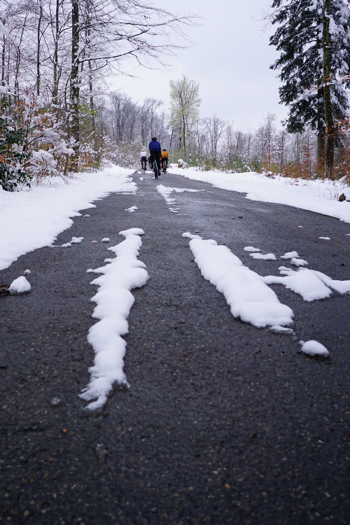 Zwischen Kälte und Leidenschaft: Warum Rennradfahren im Winter? 4