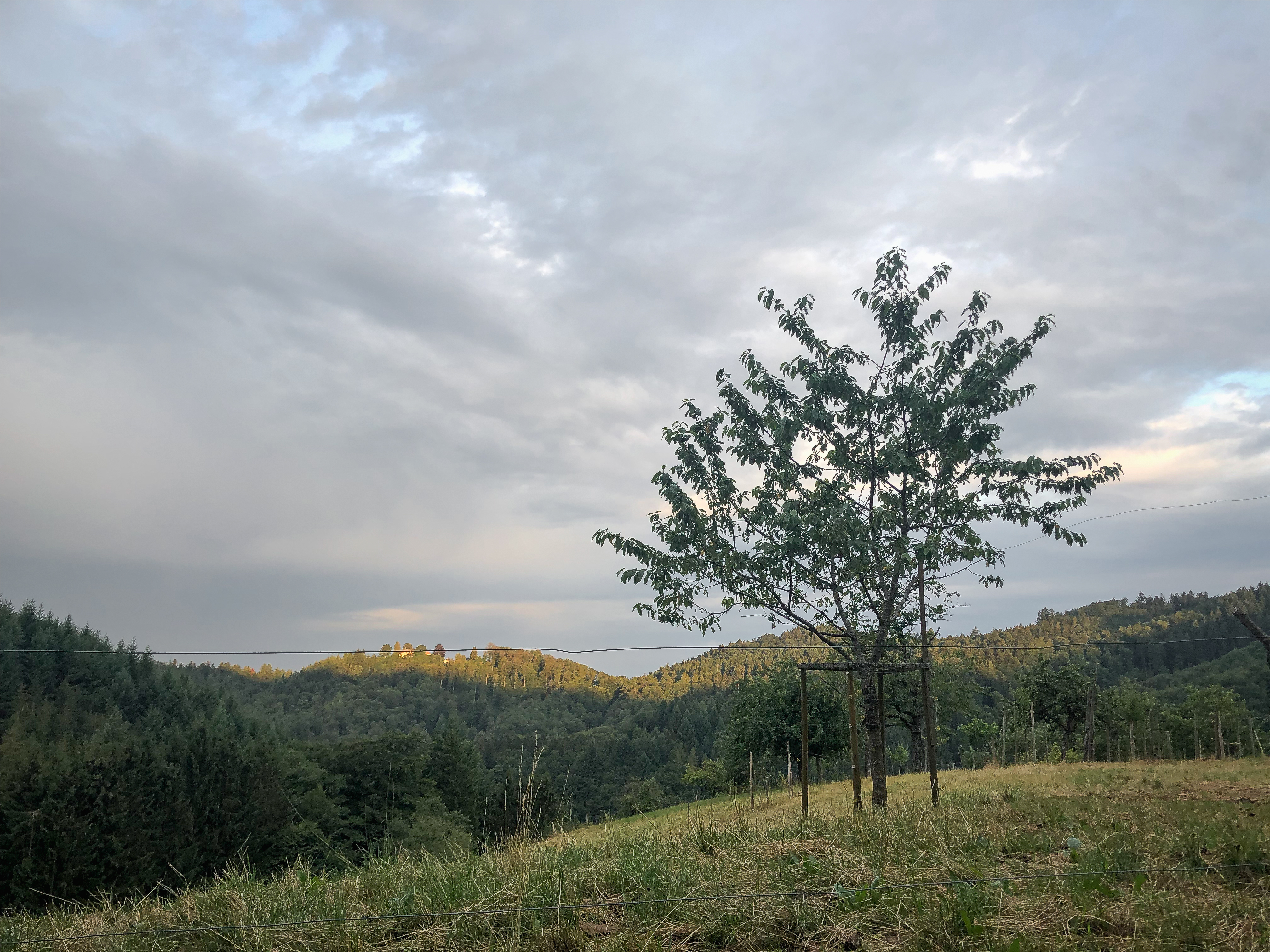 Basel Rides: durchs einsame Seitental 11