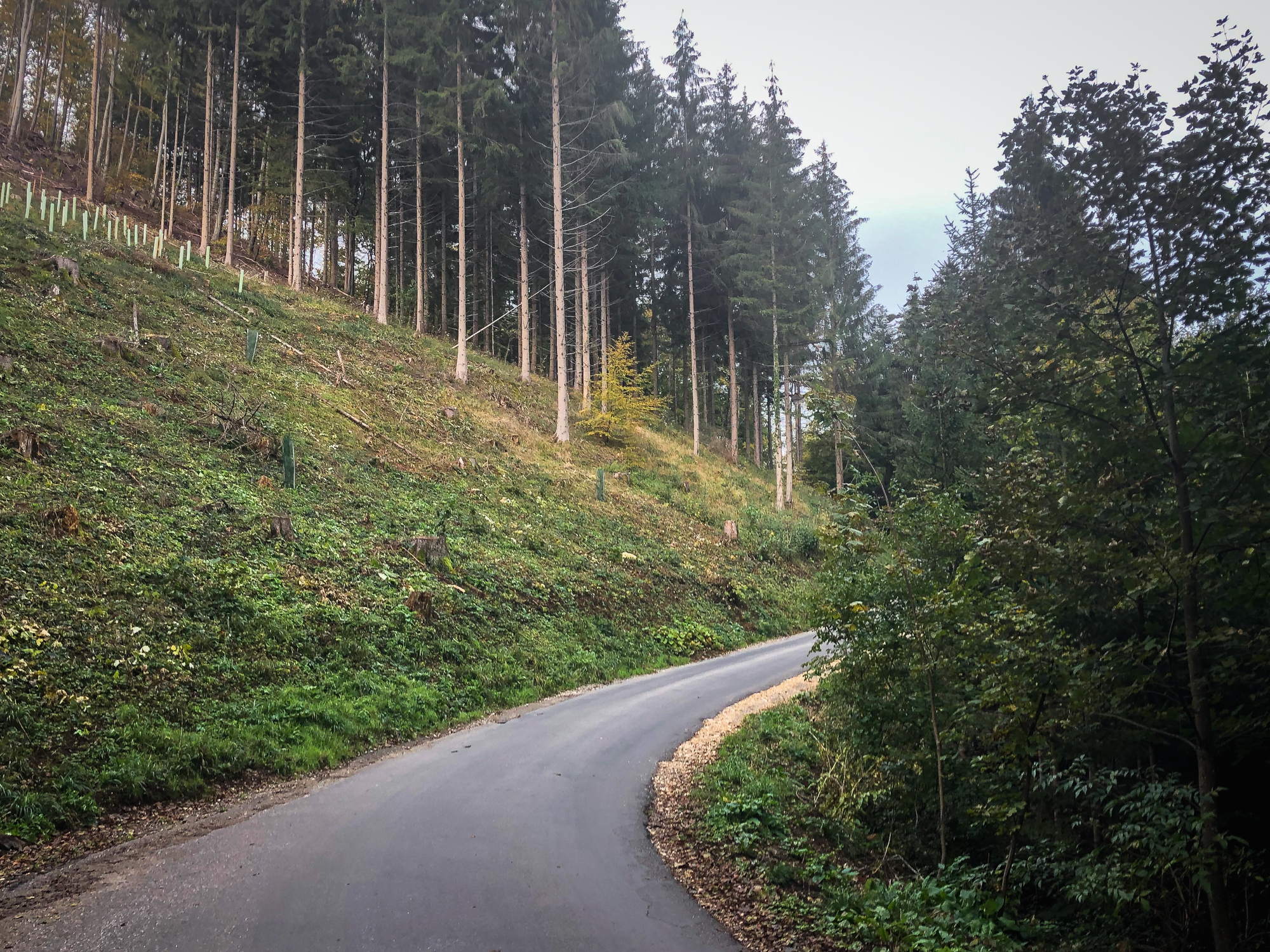 Basel Rides: entspannt auf den Hausberg 8