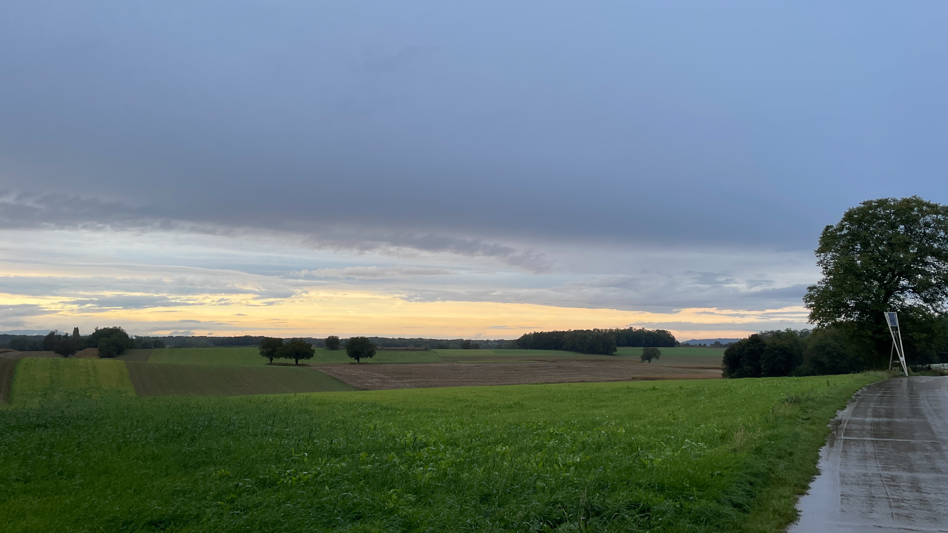 Basel Rides: mit grandiosem Blick auf die Rheinebene 1