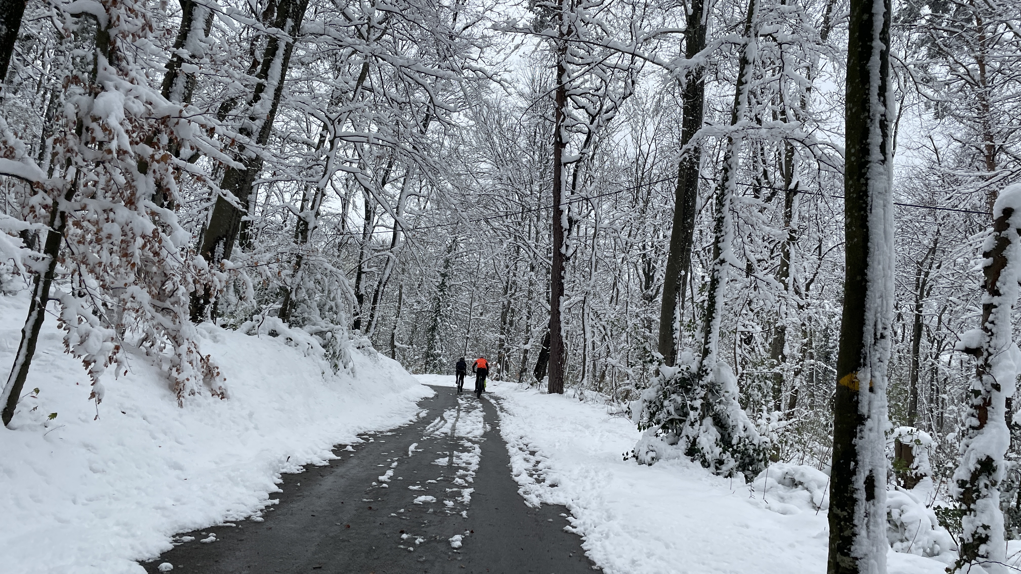 Going the distance: eine zusätzliche Herausforderung 1