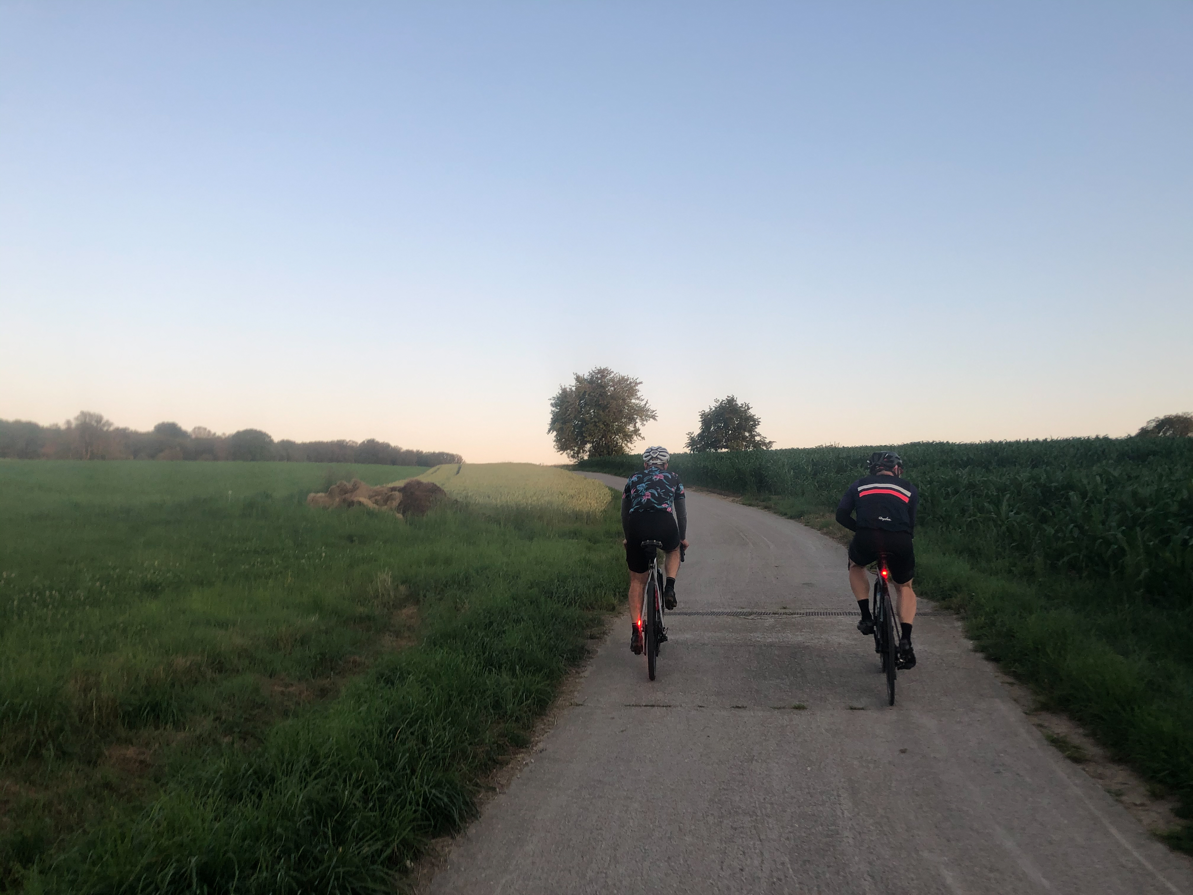 Basel Rides: mit grandiosem Blick auf die Rheinebene 2