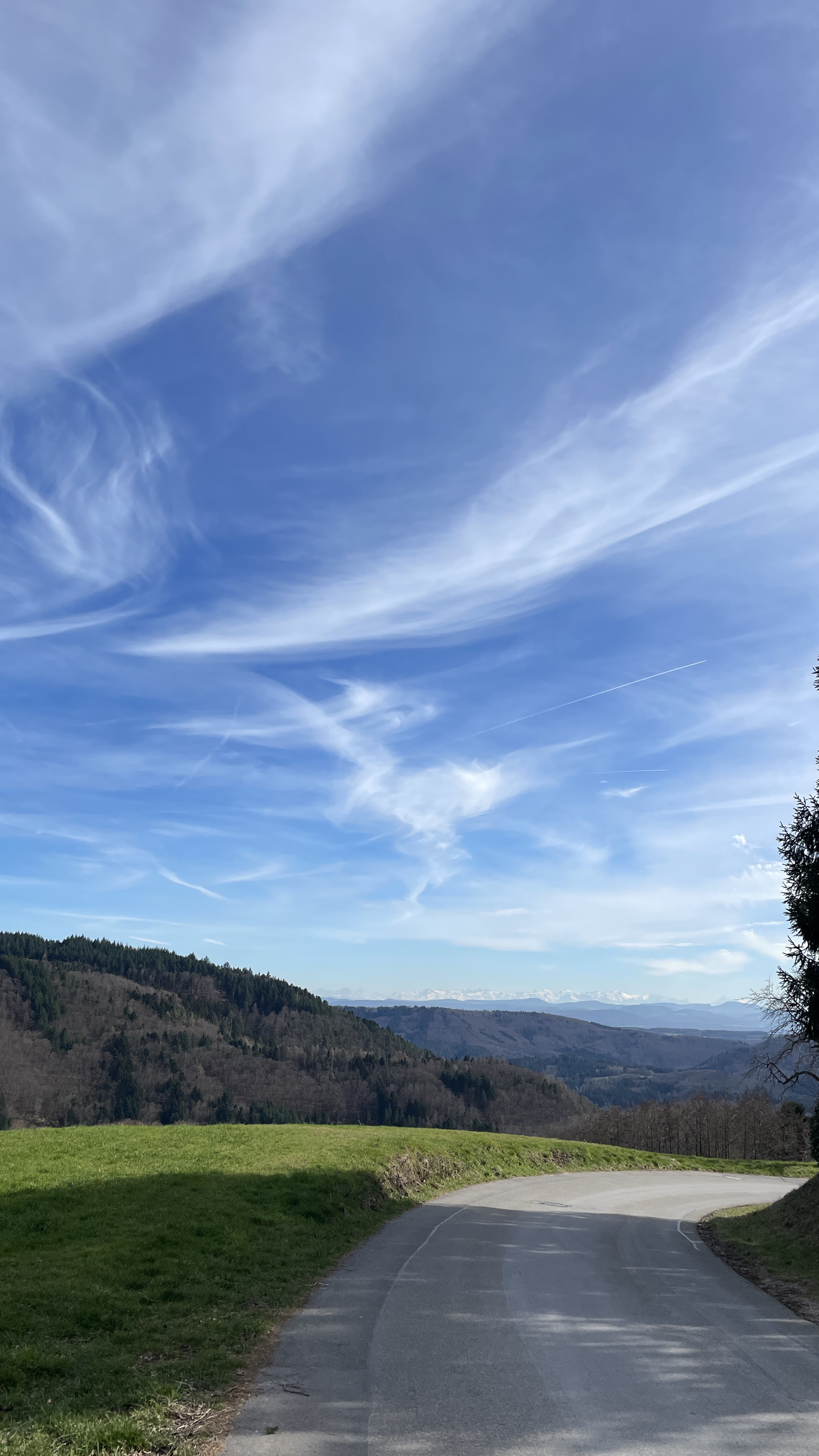 «DE RONDE»: viele Höhenmeter und ein wenig Kopfsteinpflaster 3