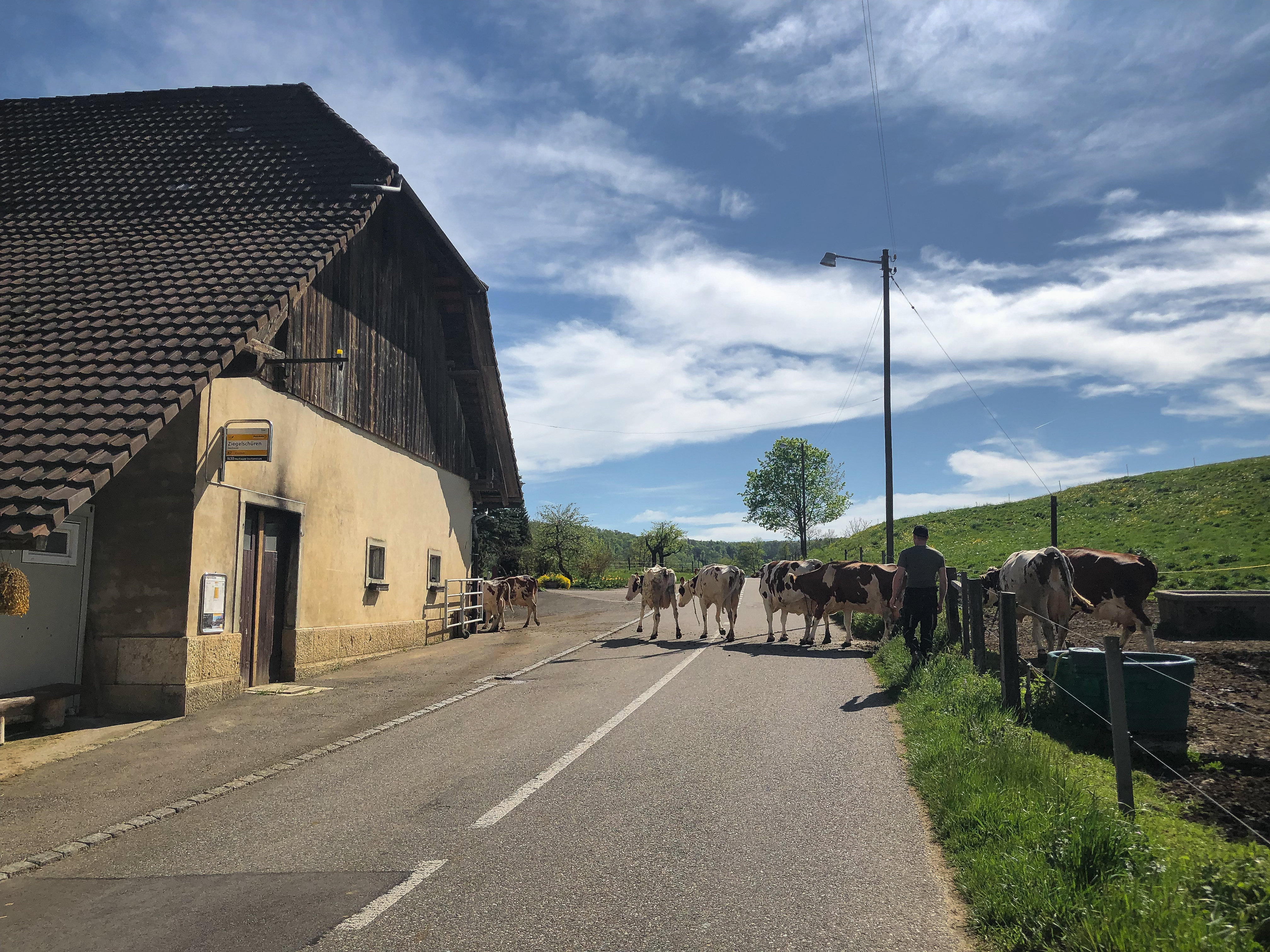 Basel Rides: Hinter dem Gempen geht’s weiter 8